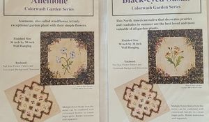 NIP 2 Hahn Colorwash Garden Series Anemone & Black-eyed Susan Applique Patterns